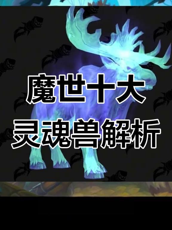 魔兽海加尔山灵魂兽叫什么