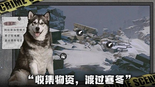 我在末日捡垃圾游戏截图2